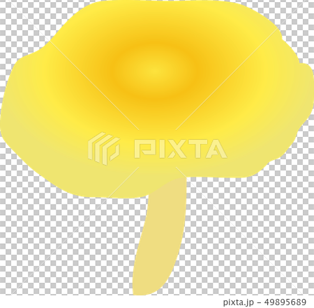 タモギ茸 49895689