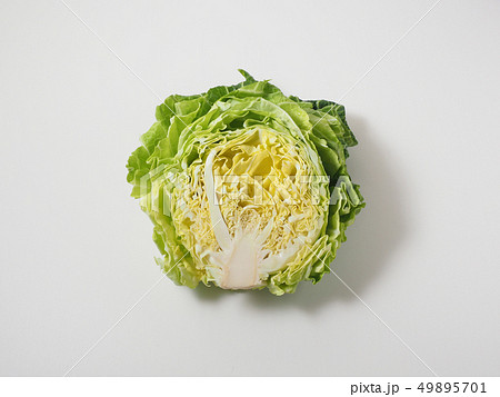 カットした春キャベツ 49895701
