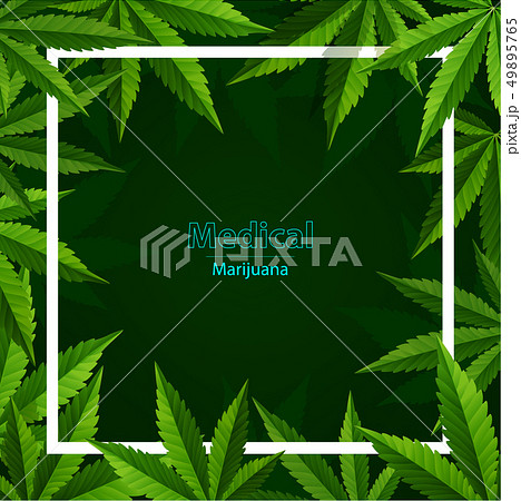 Marijuana Plant And Cannabis Green Frame Vector のイラスト素材