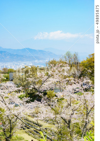 日本平からの景色 49895875