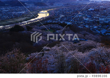 春の船岡城址公園 春の船岡城址公園 49896166