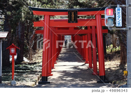 札幌伏見稲荷神社参道の鳥居のトンネル 札幌伏見稲荷神社参道の鳥居のトンネル 49896343