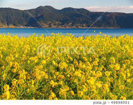 池田湖 49898001