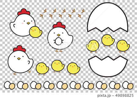 Chicken Chicken 49898825