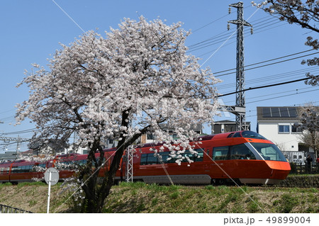 座間の桜並木を行くGSE 49899004