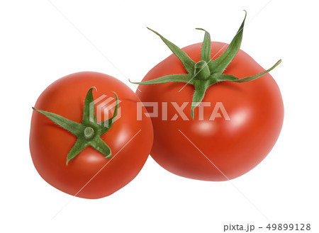 Fresh tomatoes isolated on white 49899128