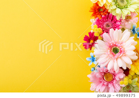 花(造花) 花(造花) 49899375