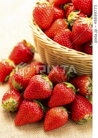 かご盛り苺 49899775