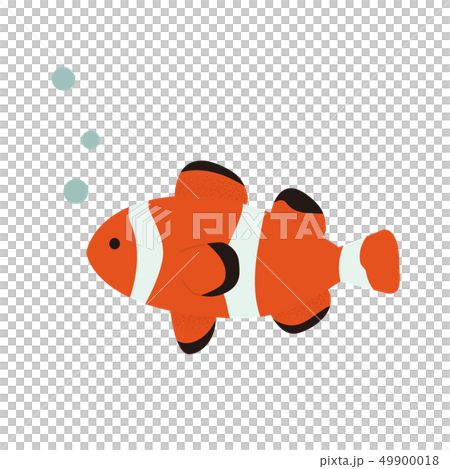 Anemone fish 49900018