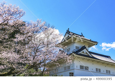 桜と仙台城（隅櫓） 49900395