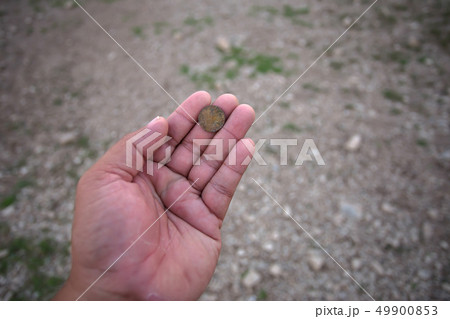 Georgia - Country, Tbilisi, A Helping Hand, Adult, 49900853