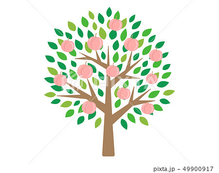 Peach Tree Stock Illustration