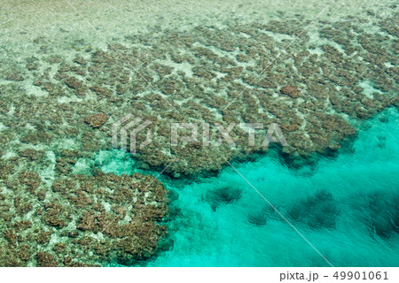 碧い海 南国 フナウサギバナタ展望台 サンゴ礁 碧い海 南国 フナウサギバナタ展望台 サンゴ礁 49901061
