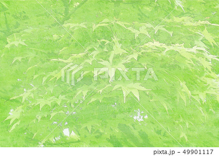 背景水彩 新緑 背景水彩 新緑 49901117