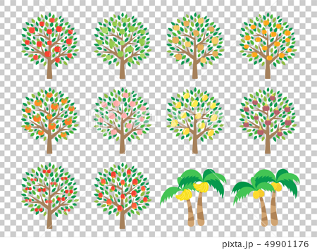 果物の木のイラスト素材 49901176 Pixta