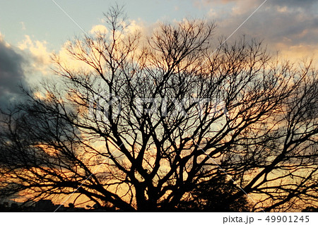 ひび割れた空の写真素材 [49901245] - PIXTA