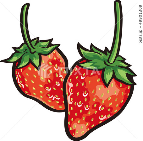 イチゴ 49901309