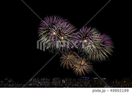 漢江 汝矣島 ヨイド 49902199