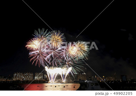 炎 漢江 汝矣島 49902205