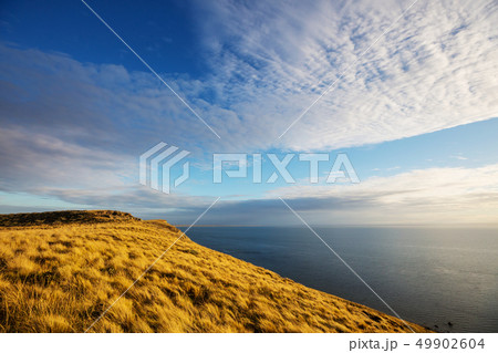 Argentina coast Argentina coast 49902604