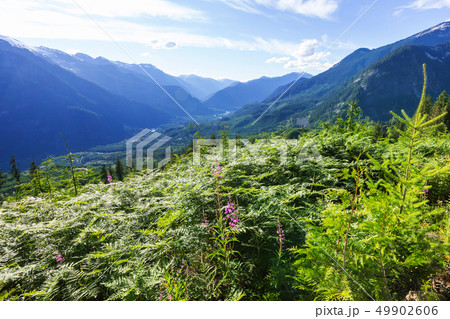 Mountains in Canada Mountains in Canada 49902606