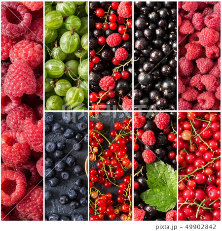 Colorful collage of different berries. Set of  berries. 49902842