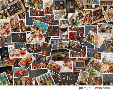 Collection of different spices and herbs. set of condiments Collection of different spices and herbs. set of condiments 49902860