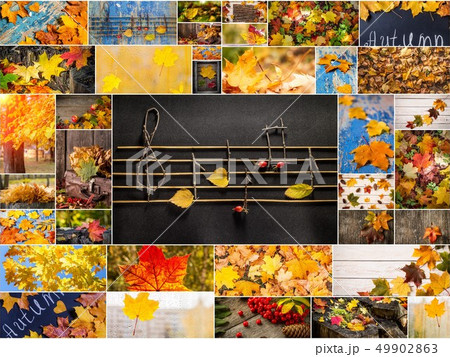 Colorful autumn collage. Autumn creative set of photos.  49902863