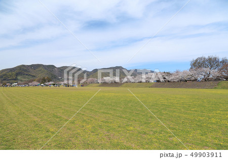 三豊市豊中町財田川リバーサイドパーク（いなり運動公園） 49903911