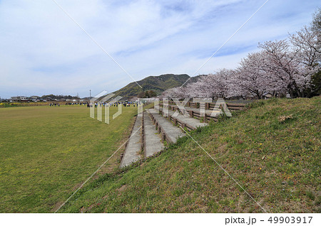 三豊市豊中町財田川リバーサイドパーク（いなり運動公園） 49903917