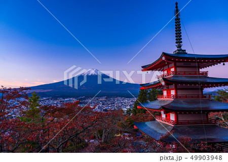 《山梨県》桜紅葉した新倉山浅間公園、忠霊塔と新雪富士、夜明け 49903948