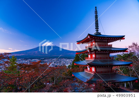 《山梨県》桜紅葉した新倉山浅間公園、忠霊塔と新雪富士、夜明け 49903951