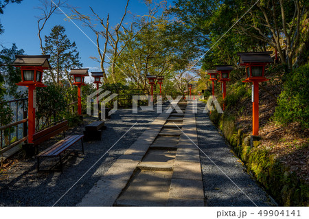 本殿の桜が満開の鞍馬寺 49904141