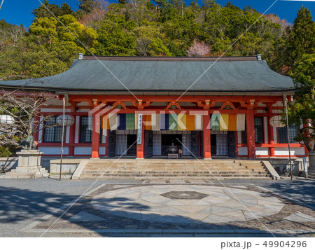 本殿の桜が満開の鞍馬寺 49904296