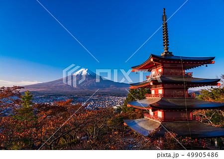《山梨県》朝日を浴びる、新倉山浅間公園の桜紅葉・忠霊塔・新雪富士 49905486