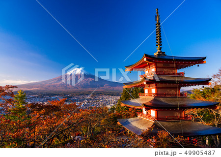 《山梨県》朝日を浴びる、新倉山浅間公園の桜紅葉・忠霊塔・新雪富士 49905487