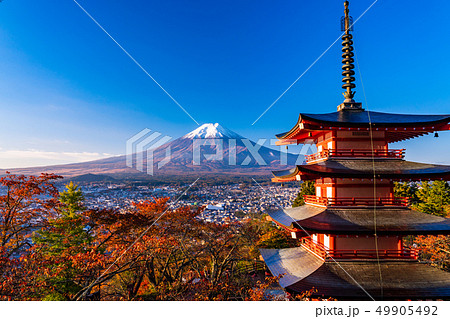 《山梨県》朝日を浴びる、新倉山浅間公園の桜紅葉・忠霊塔・新雪富士 49905492