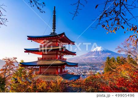 《山梨県》朝日を浴びる、新倉山浅間公園の桜紅葉・忠霊塔・新雪富士 49905496