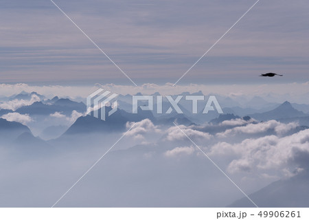View of the Alps from Zugspitze, Germany 49906261
