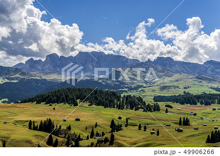 Alpe di Siusi (Seiser Alm),Dolomites, Italy 49906266