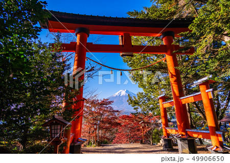 《山梨県》紅葉した新倉山浅間公園から望む、新雪富士 49906650