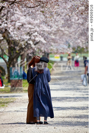 桜 49906916