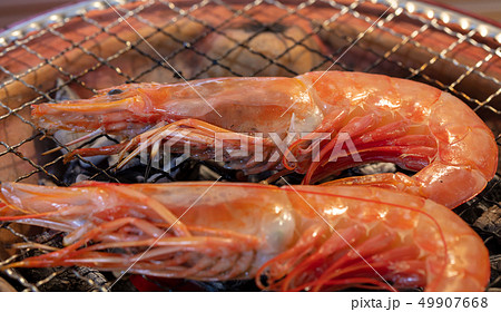 赤エビの塩焼き（炭焼き・網焼き・七輪・一人・宅飲み・バーベキュー・BBQ・焼肉・牛肉 49907668