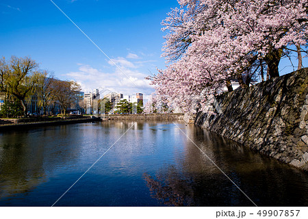 富山市内の風景 城址大通り城址公園前から 2019.04 b-1 富山市内の風景 城址大通り城址公園前から 2019.04 b-1 49907857