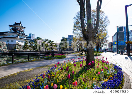 富山市内の風景 県道44号城址公園前 2019.04 c-1 富山市内の風景 県道44号城址公園前 2019.04 c-1 49907989