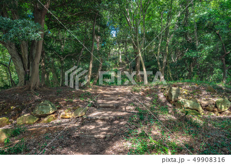 米子城趾 登城路の風景 米子城趾 登城路の風景 49908316