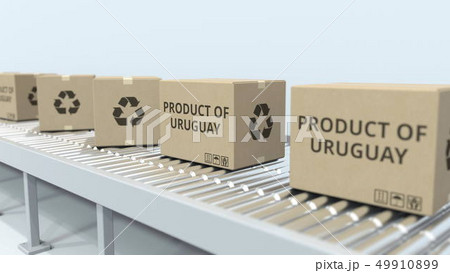 Boxes with PRODUCT OF URUGUAY text on roller conveyor. Uruguayan import or export related 3D 49910899