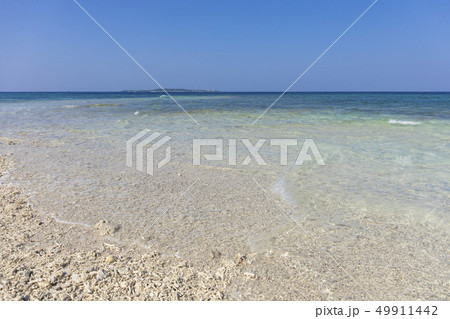 サンゴ礁の島　バラス島 49911442