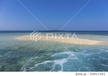 サンゴ礁の島　バラス島 49911481