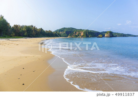 月が浜　西表のビーチ 49911837